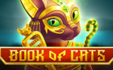 Игровой автомат Book of Cats: особенности и преимущества