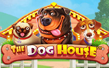 Игровой автомат The Dog House и его особенности 